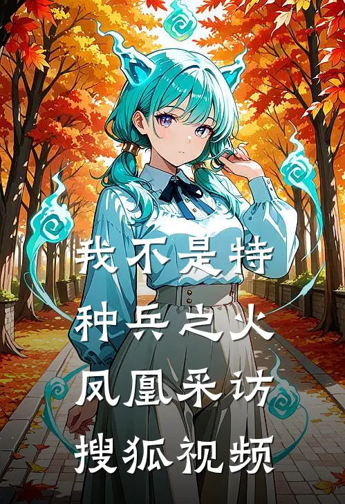 我不是特种兵之火凤凰采访搜狐视频