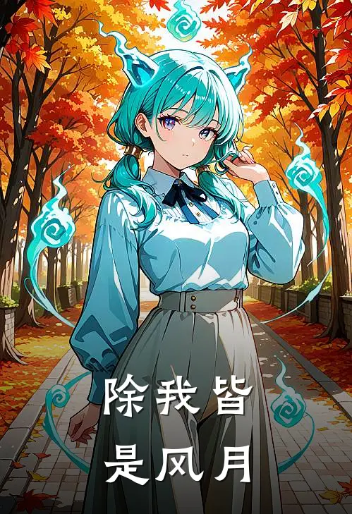 除我皆是风月